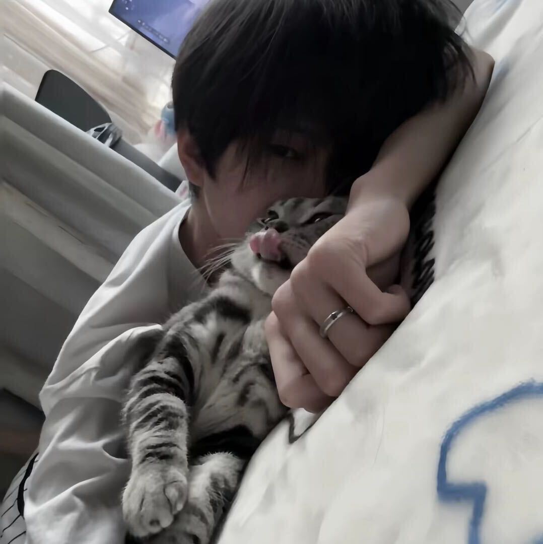 作者头像